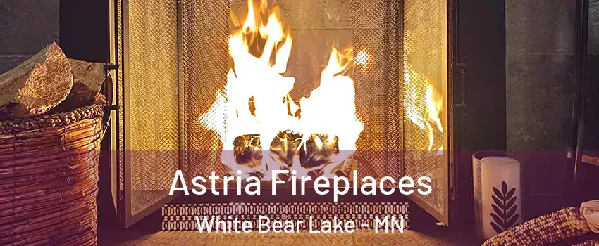  Astria Fireplaces White Bear Lake - MN