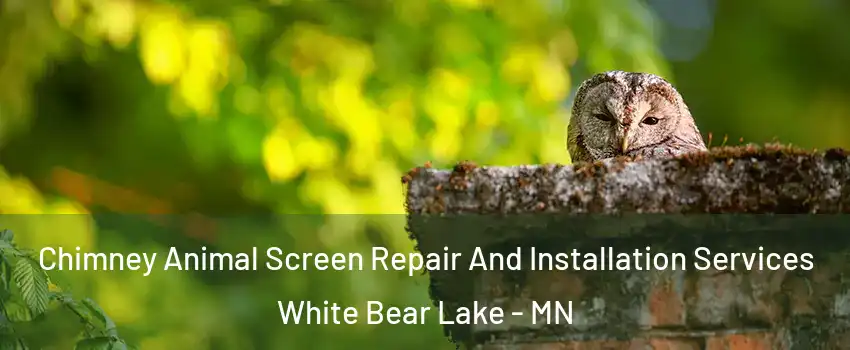  Chimney Animal Screen Repair And Installation Services White Bear Lake - MN