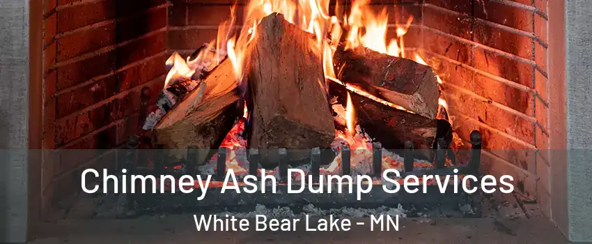  Chimney Ash Dump Services White Bear Lake - MN