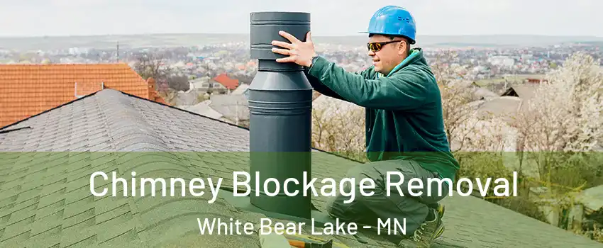  Chimney Blockage Removal White Bear Lake - MN