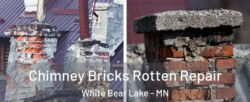  Chimney Bricks Rotten Repair White Bear Lake - MN