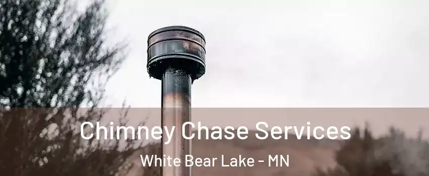  Chimney Chase Services White Bear Lake - MN