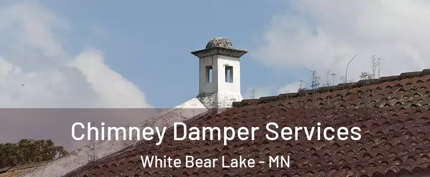  Chimney Damper Services White Bear Lake - MN