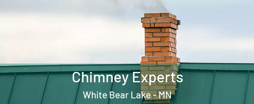  Chimney Experts White Bear Lake - MN