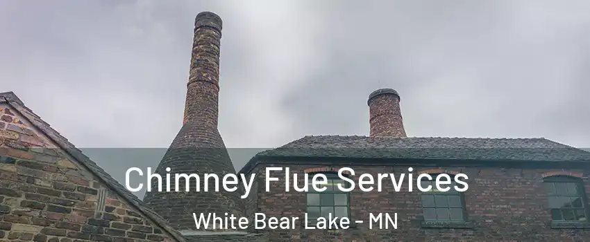  Chimney Flue Services White Bear Lake - MN