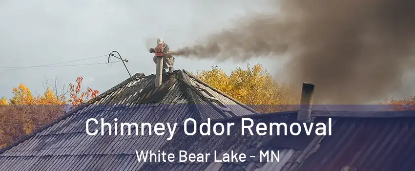  Chimney Odor Removal White Bear Lake - MN