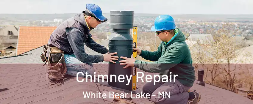  Chimney Repair White Bear Lake - MN
