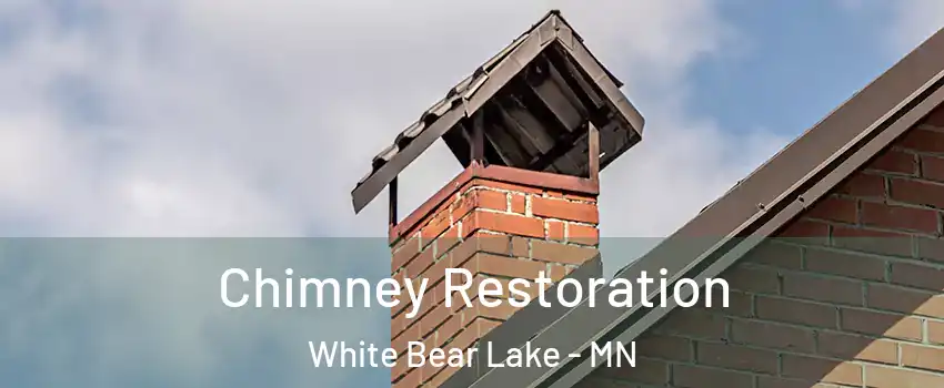  Chimney Restoration White Bear Lake - MN