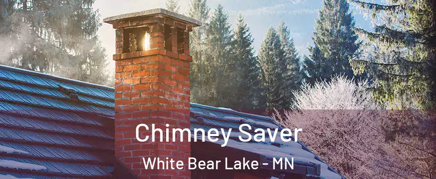  Chimney Saver White Bear Lake - MN