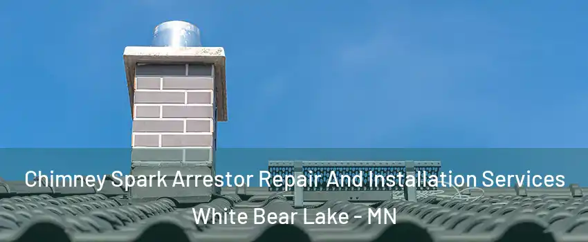  Chimney Spark Arrestor Repair And Installation Services White Bear Lake - MN
