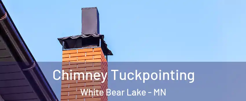  Chimney Tuckpointing White Bear Lake - MN