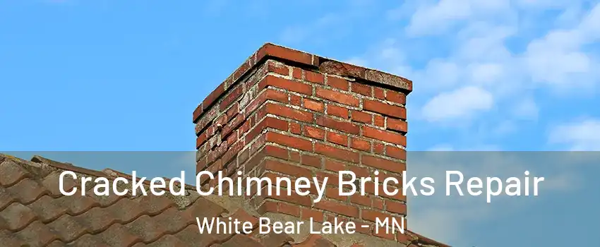  Cracked Chimney Bricks Repair White Bear Lake - MN