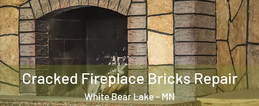  Cracked Fireplace Bricks Repair White Bear Lake - MN