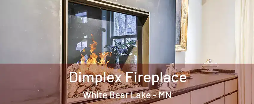  Dimplex Fireplace White Bear Lake - MN