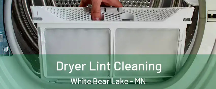  Dryer Lint Cleaning White Bear Lake - MN