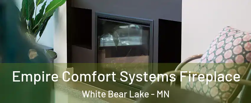  Empire Comfort Systems Fireplace White Bear Lake - MN