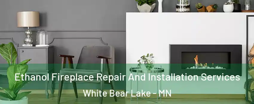  Ethanol Fireplace Repair And Installation Services White Bear Lake - MN
