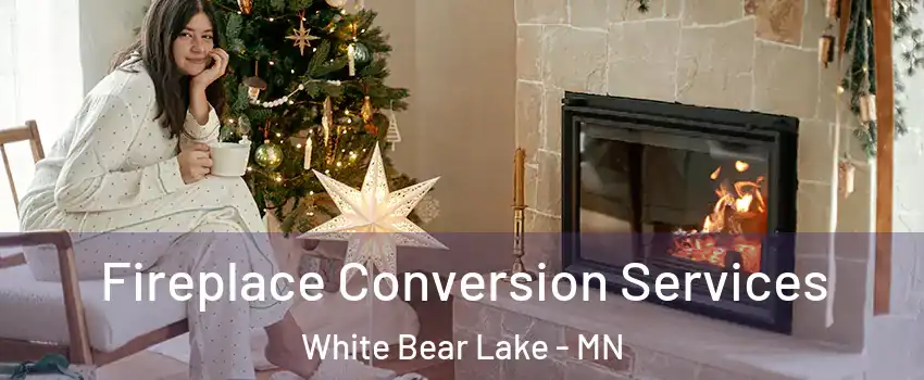  Fireplace Conversion Services White Bear Lake - MN