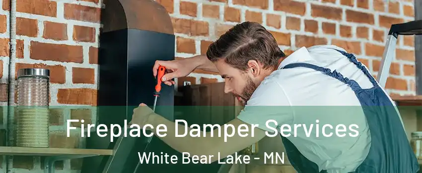  Fireplace Damper Services White Bear Lake - MN