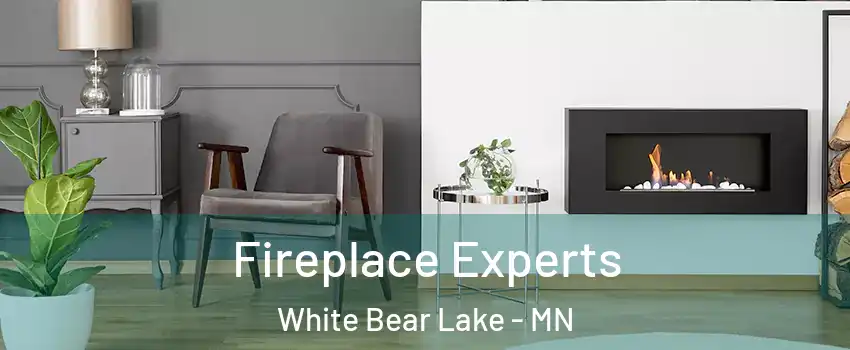  Fireplace Experts White Bear Lake - MN