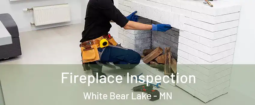  Fireplace Inspection White Bear Lake - MN