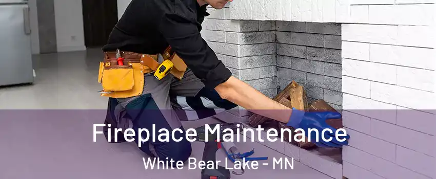  Fireplace Maintenance White Bear Lake - MN