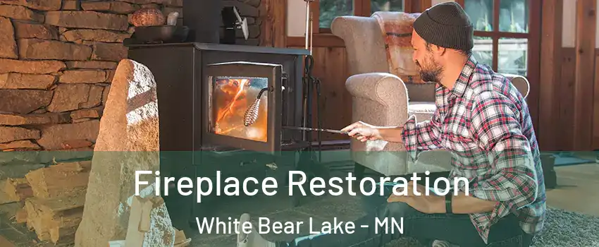  Fireplace Restoration White Bear Lake - MN
