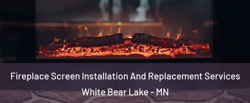 Fireplace Screen Installation And Replacement Services White Bear Lake - MN