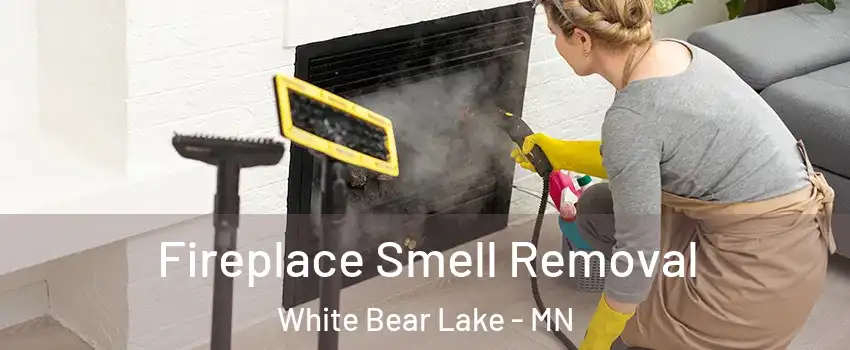  Fireplace Smell Removal White Bear Lake - MN
