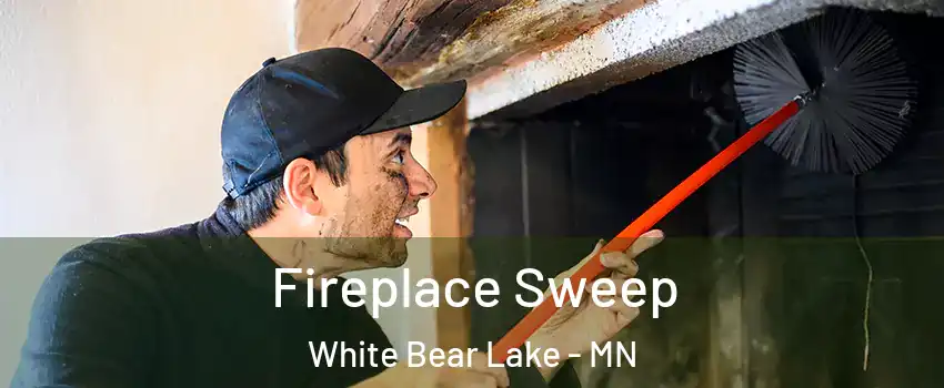  Fireplace Sweep White Bear Lake - MN