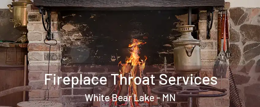  Fireplace Throat Services White Bear Lake - MN