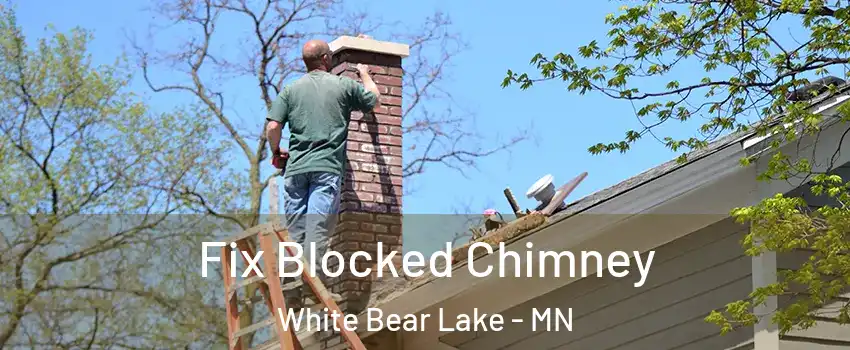  Fix Blocked Chimney White Bear Lake - MN