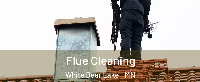  Flue Cleaning White Bear Lake - MN