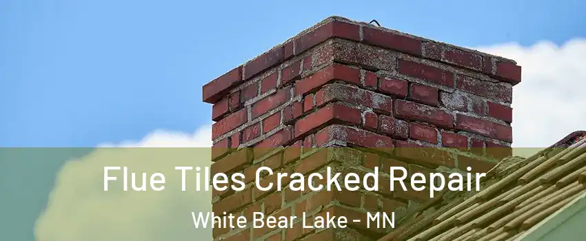  Flue Tiles Cracked Repair White Bear Lake - MN