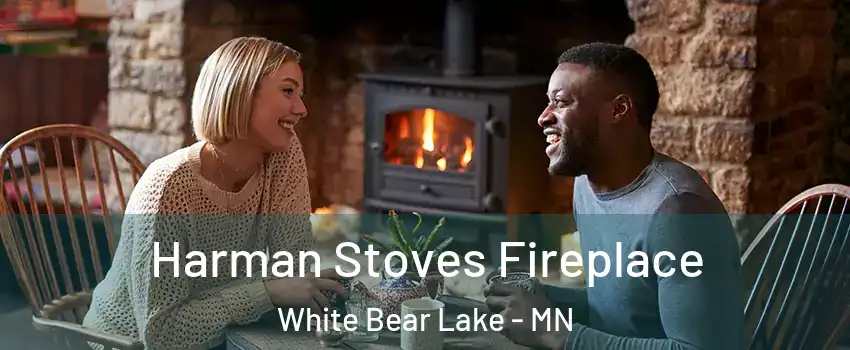  Harman Stoves Fireplace White Bear Lake - MN