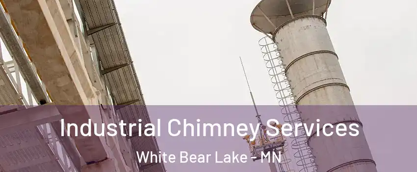  Industrial Chimney Services White Bear Lake - MN