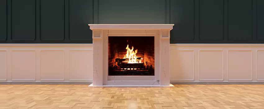 Napoleon Electric Fireplaces Inspection Service in White Bear Lake, Minnesota