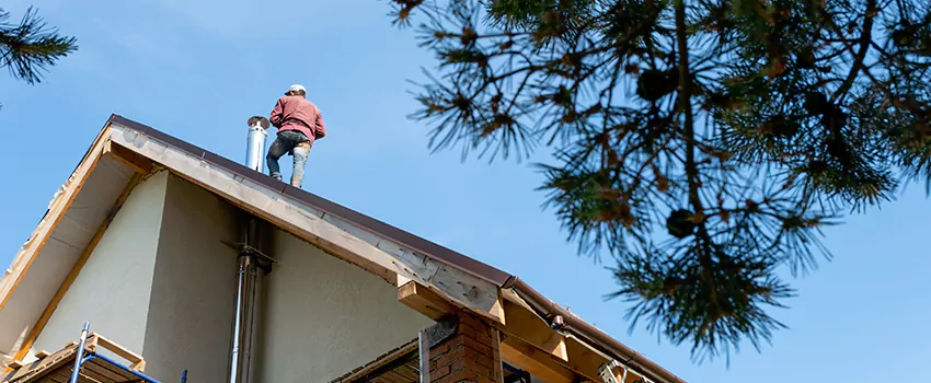 Birds Removal Contractors from Chimney in White Bear Lake, MN