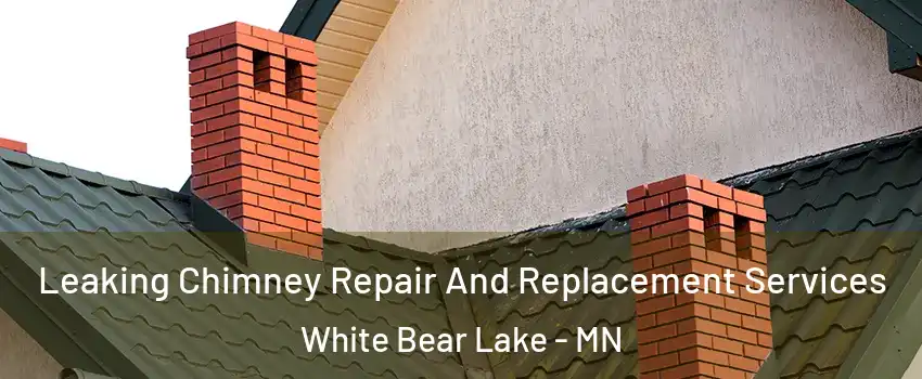  Leaking Chimney Repair And Replacement Services White Bear Lake - MN