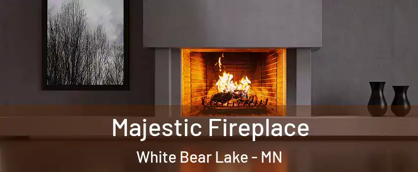  Majestic Fireplace White Bear Lake - MN