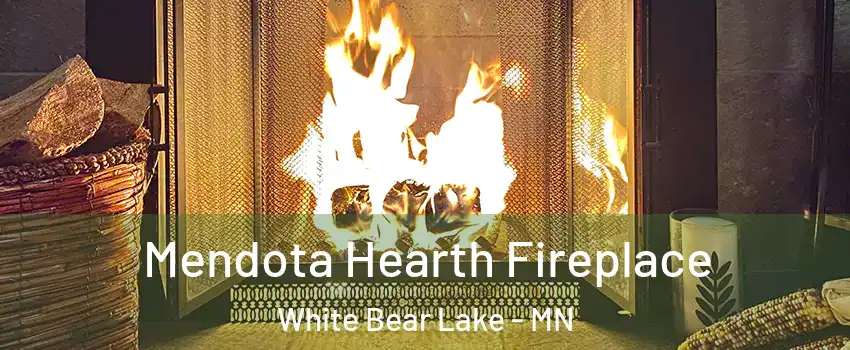  Mendota Hearth Fireplace White Bear Lake - MN