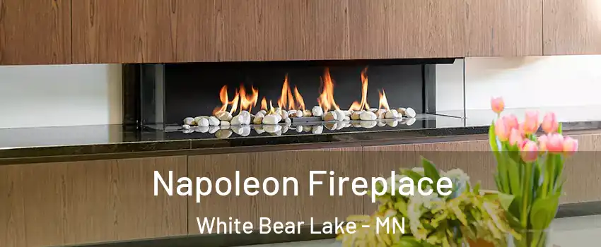  Napoleon Fireplace White Bear Lake - MN
