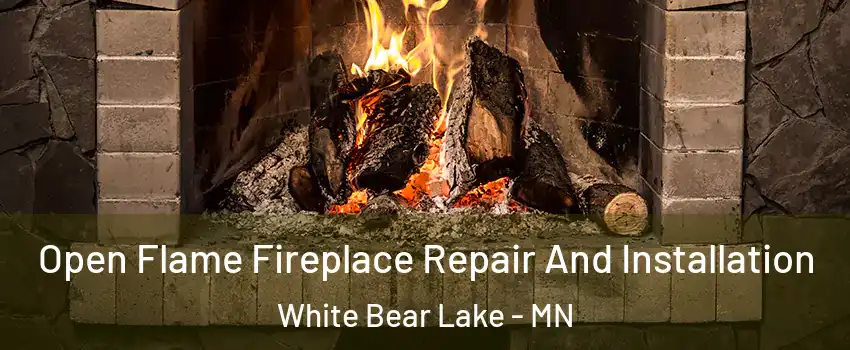  Open Flame Fireplace Repair And Installation White Bear Lake - MN