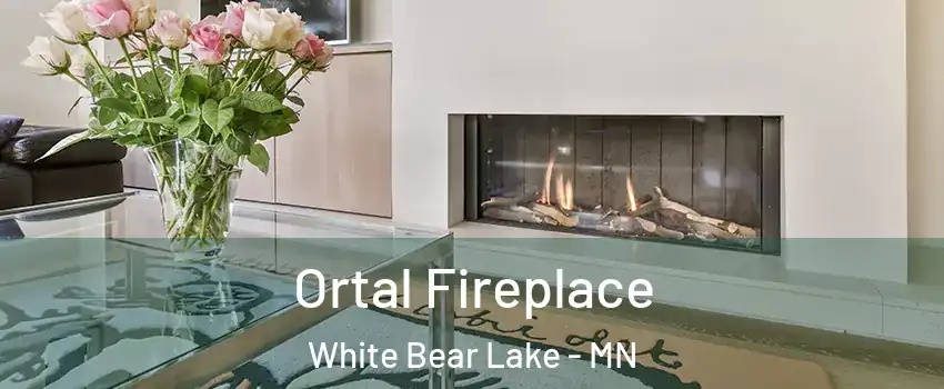  Ortal Fireplace White Bear Lake - MN