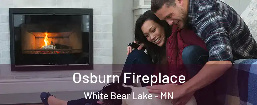  Osburn Fireplace White Bear Lake - MN