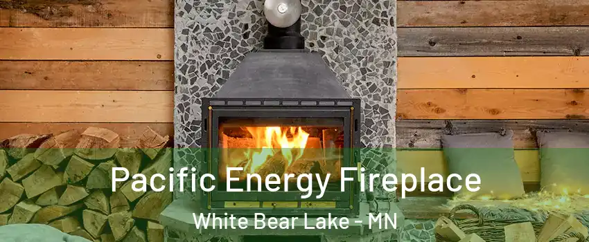  Pacific Energy Fireplace White Bear Lake - MN