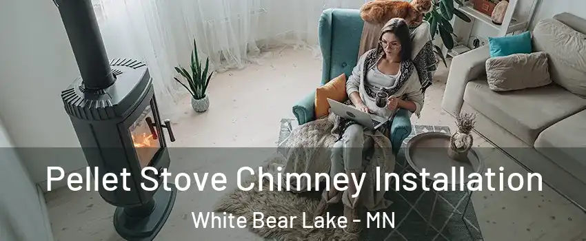  Pellet Stove Chimney Installation White Bear Lake - MN