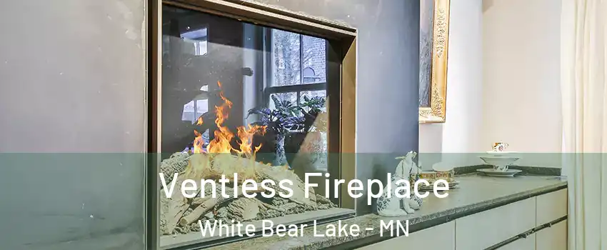  Ventless Fireplace White Bear Lake - MN