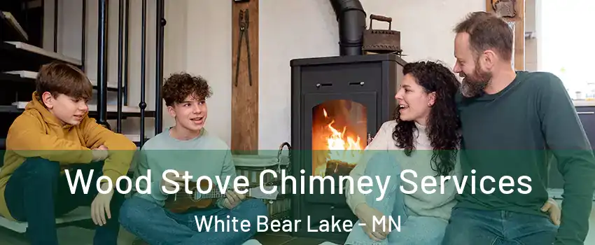  Wood Stove Chimney Services White Bear Lake - MN